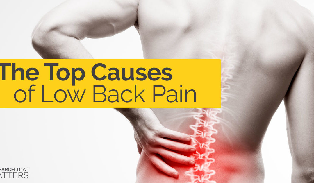 The Top Causes of Low Back Pain