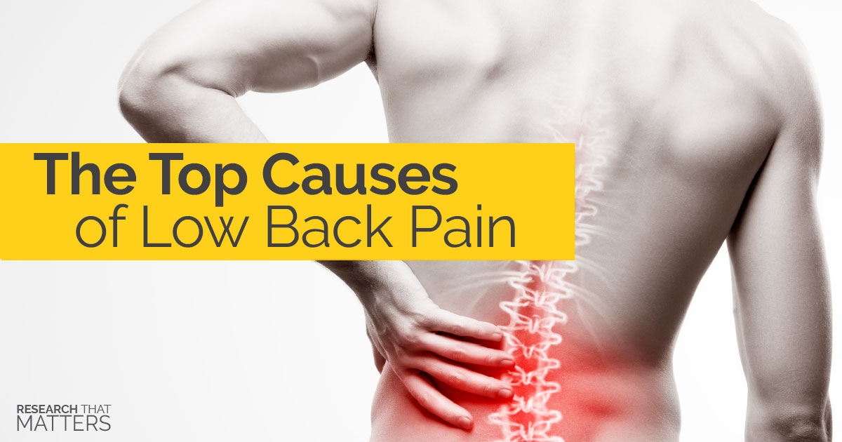 The Top Causes Of Low Back Pain Spine In Motion   The Top Causes Of Low Back Painb 